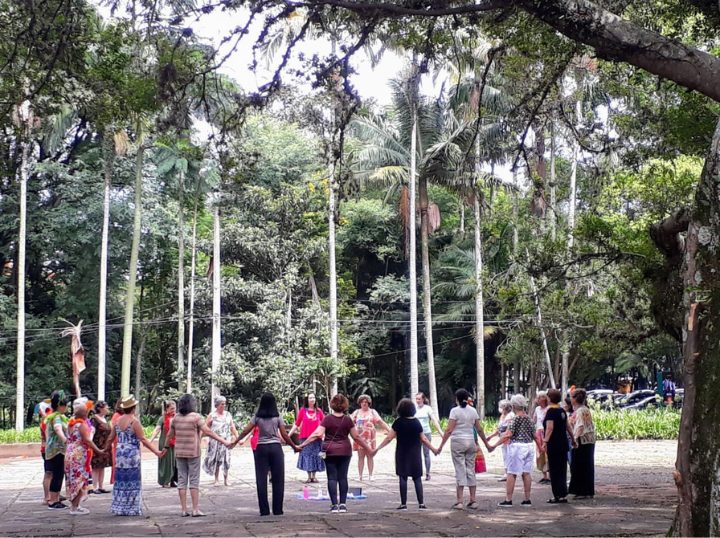 Roda de mulheres de mãos dadas em um parque, sob as árvores